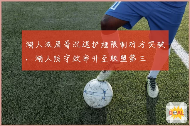 湖人浓眉哥沉退护框限制对方突破,湖人防守效率升至联盟第三
