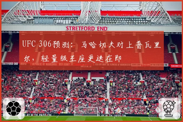 UFC 306预测:马哈切夫对上普瓦里尔,轻量级王座更迭在即
