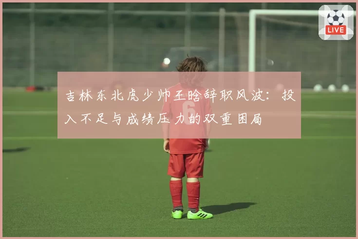 吉林东北虎少帅王晗辞职风波：投入不足与成绩压力的双重困局