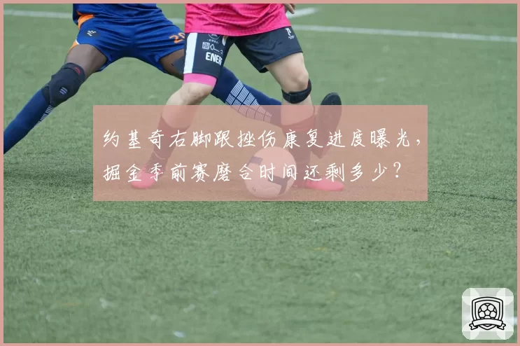 约基奇右脚跟挫伤康复进度曝光,掘金季前赛磨合时间还剩多少?