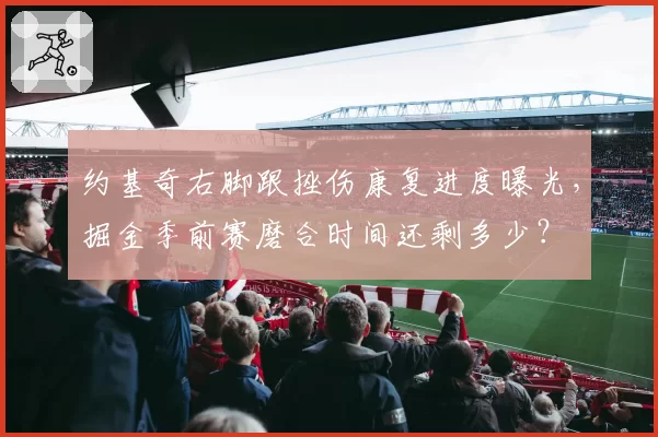 约基奇右脚跟挫伤康复进度曝光,掘金季前赛磨合时间还剩多少?